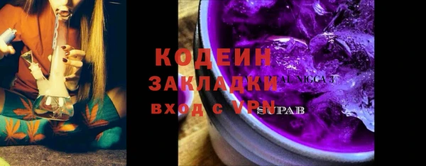 спиды Пересвет