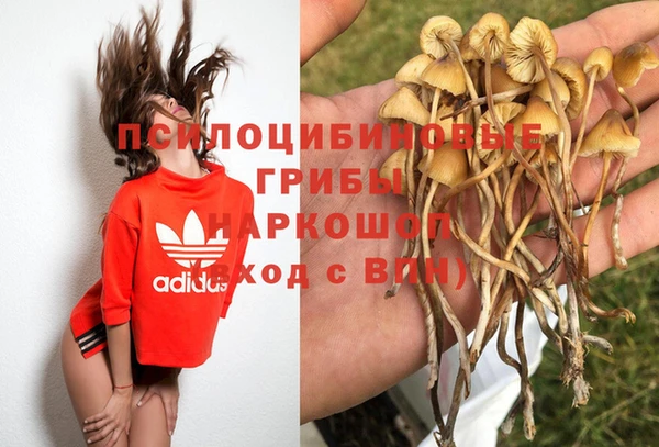 спиды Пересвет