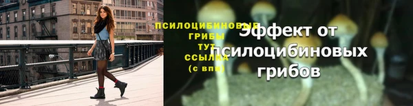 таблы Переславль-Залесский