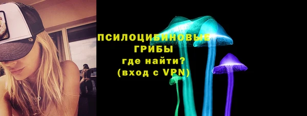мет Пестово