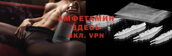 спиды Пересвет