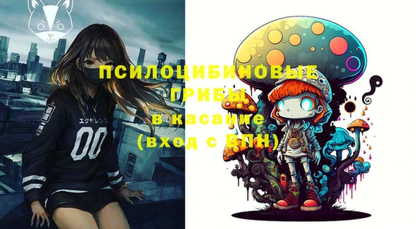 спиды Пересвет