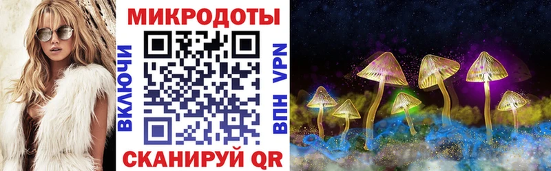 Купить где  Сергач  Псилоцибиновые грибы Psilocybine cubensis 